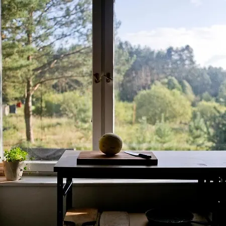 Przytulny Dom W Sosnowym Lesie Nad Rzeka I Jeziorem *