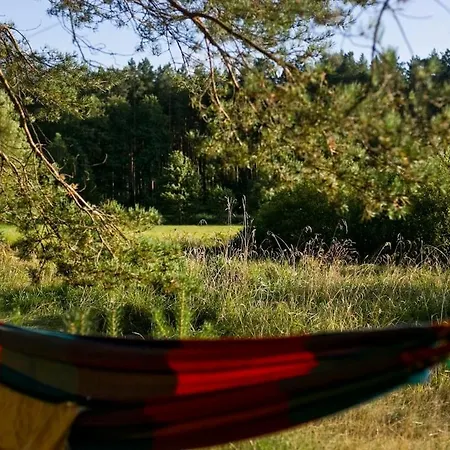 Przytulny Dom W Sosnowym Lesie Nad Rzeka I Jeziorem Nyaraló *