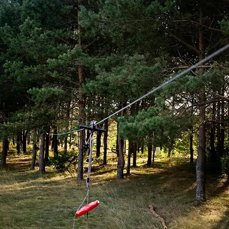 Przytulny Dom W Sosnowym Lesie Nad Rzeka I Jeziorem