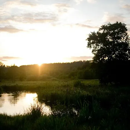 Nyaraló Przytulny Dom W Sosnowym Lesie Nad Rzeka I Jeziorem Rolbik