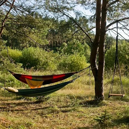 Przytulny Dom W Sosnowym Lesie Nad Rzeka I Jeziorem Nyaraló