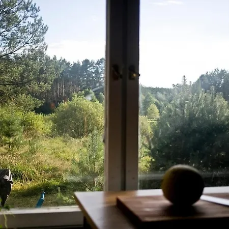 Przytulny Dom W Sosnowym Lesie Nad Rzeka I Jeziorem * Rolbik