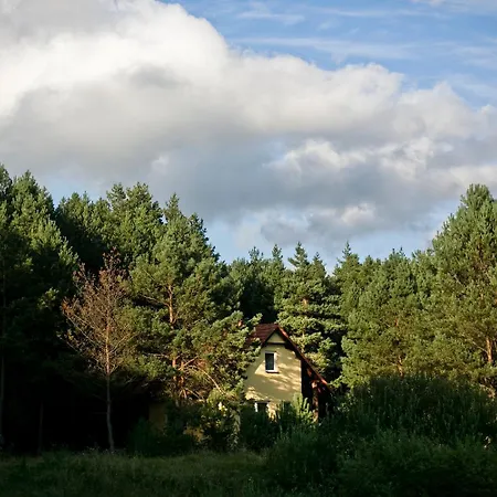 Przytulny Dom W Sosnowym Lesie Nad Rzeka I Jeziorem Feriehus Rolbik