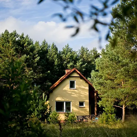 Przytulny Dom W Sosnowym Lesie Nad Rzeka I Jeziorem * Rolbik