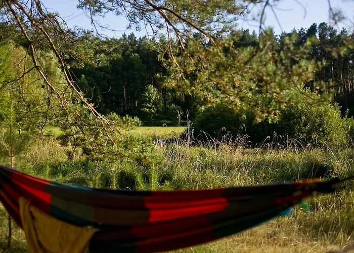 Przytulny Dom W Sosnowym Lesie Nad Rzeka I Jeziorem Сasa de vacaciones *