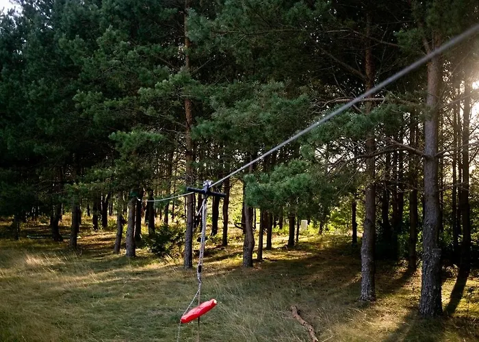 Przytulny Dom W Sosnowym Lesie Nad Rzeka I Jeziorem