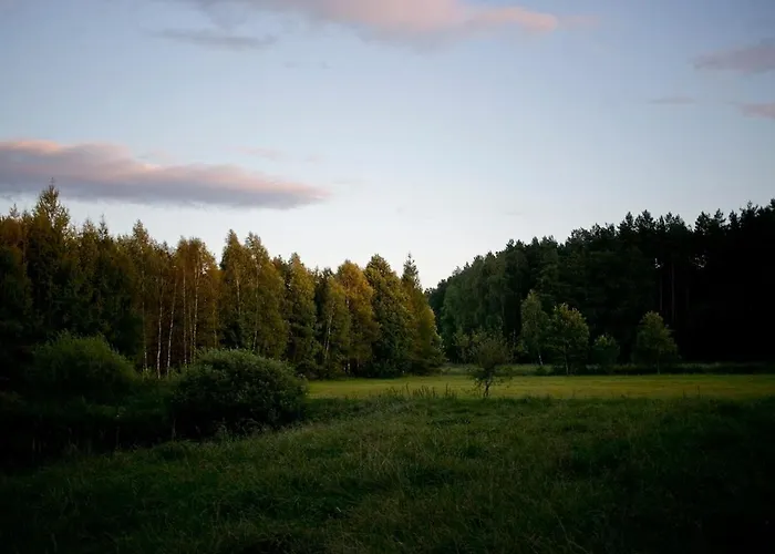 Przytulny Dom W Sosnowym Lesie Nad Rzeka I Jeziorem Сasa de vacaciones *