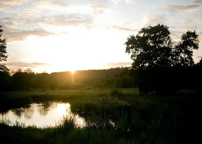 Сasa de vacaciones Przytulny Dom W Sosnowym Lesie Nad Rzeka I Jeziorem Rolbik