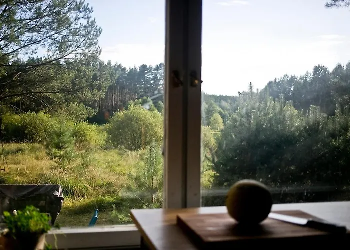 Przytulny Dom W Sosnowym Lesie Nad Rzeka I Jeziorem * Rolbik