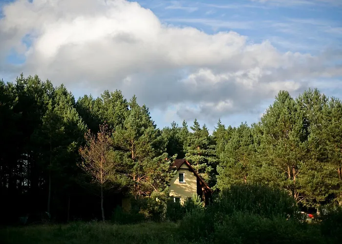 Przytulny Dom W Sosnowym Lesie Nad Rzeka I Jeziorem Feriehus Rolbik