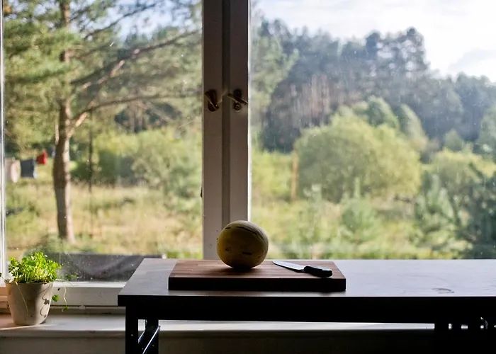 Przytulny Dom W Sosnowym Lesie Nad Rzeka I Jeziorem Rolbik