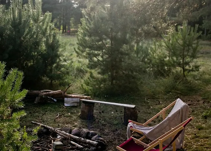 Przytulny Dom W Sosnowym Lesie Nad Rzeka I Jeziorem * Rolbik