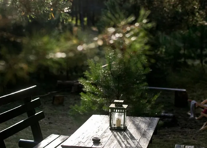 Przytulny Dom W Sosnowym Lesie Nad Rzeka I Jeziorem *