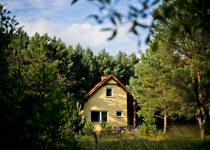 Przytulny Dom W Sosnowym Lesie Nad Rzeka I Jeziorem * Rolbik